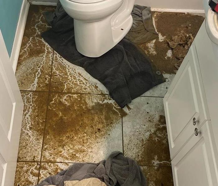 Sewage leak in Navarre, FL