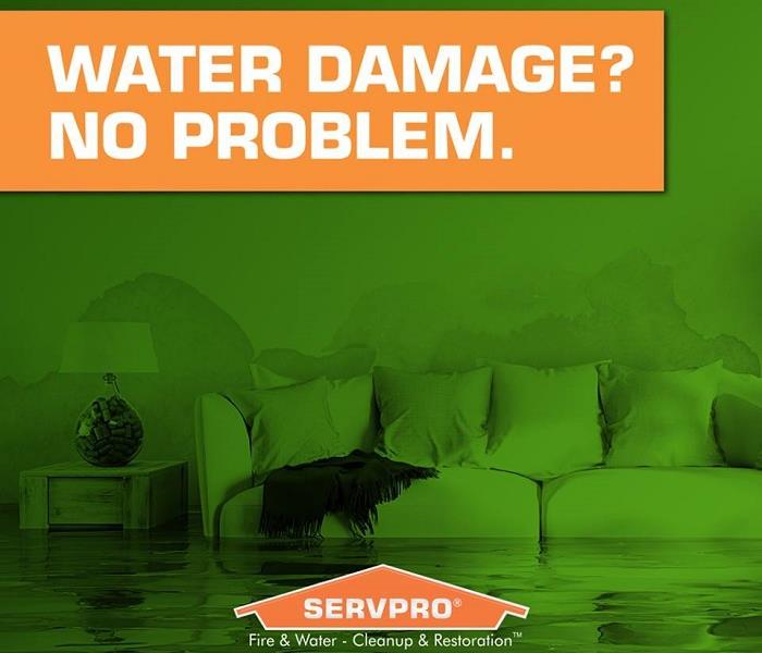 Graphic that reads Water Damage No Problem